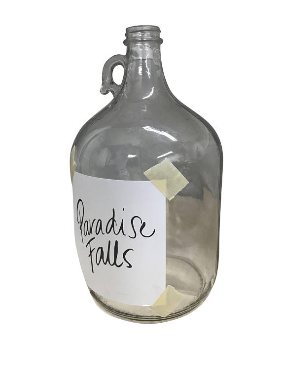 Paradise Falls UP Jar - BirdsWoodShack